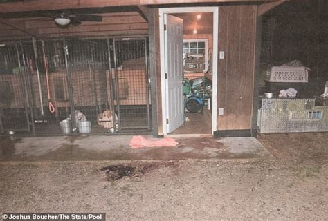 paul murdaugh crime scene photo|Chilling photos reveal bloody crime scene where Maggie and Paul ...